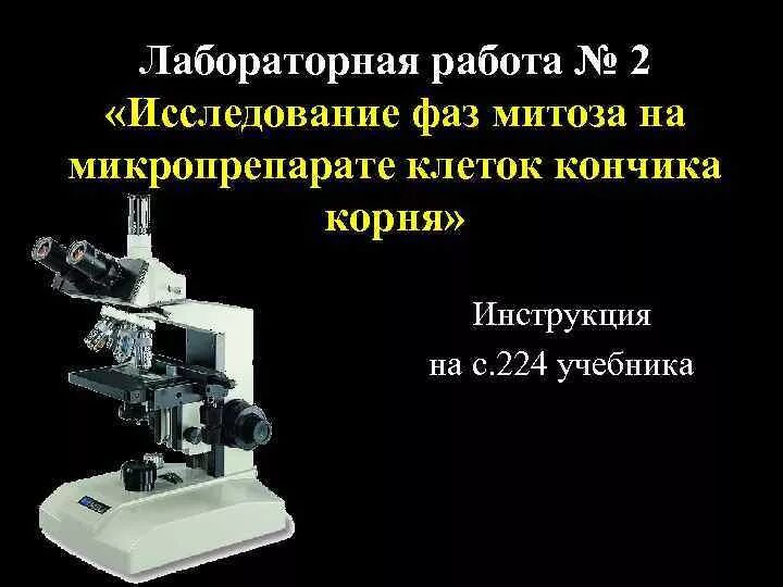Лабораторная работа изучение клетки. Лабораторная работа изучение растительной клетки. Лабораторная работа изучение растительной клетки. Лабораторная работа изучение клетки. Лабораторная работа строение растительной клетки.