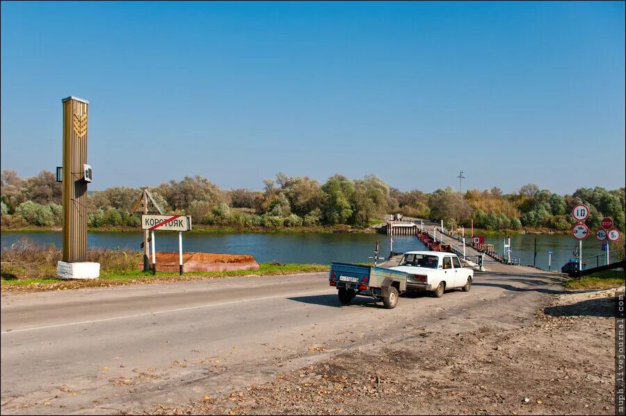Коротояк воронежская область дон. Понтонный мост коротояк. Понтон коротояк дон. Воронежская область коротояк мост. Коротояк.