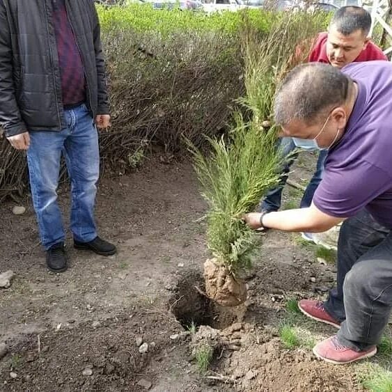 В питомнике вырастили саженцы деревьев елей было. Посадка саженцев Нефтеюганск. Посадка саженцев в Сясьстрое. В Иркутске высадили саженцы. Аят сажайте саженцы.