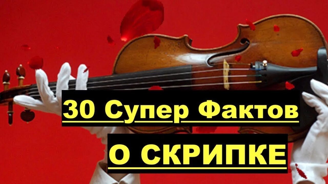 Антонио страдивари интересные факты. Интересные факты о скрипке. Альт струнные смычковые музыкальные инструменты. Интересные факты о скрипачах. Интересные факты о симфоническом оркестре.
