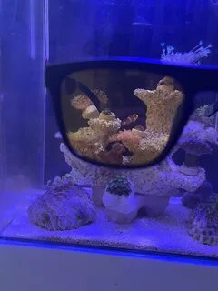 Из пресного в морской