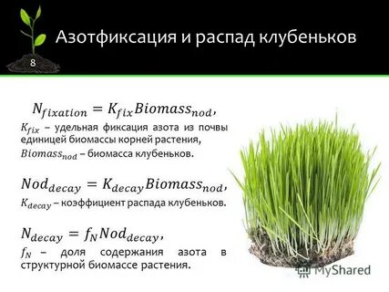 Азотфиксация