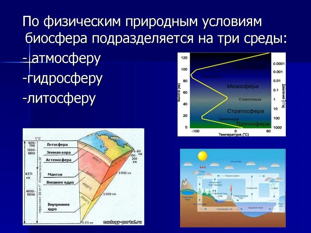 Биосфера определение. Границы биосферы. Структура и границы биосферы. Где границы биосферы. Какие утверждения о взаимодействии биосферы