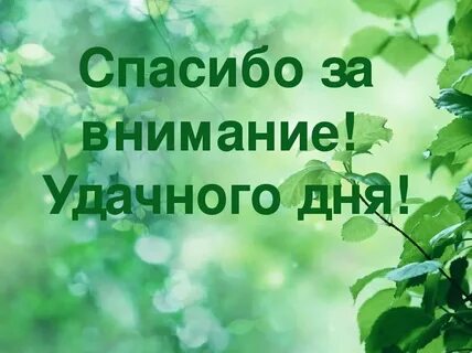 Спасибо за внимание и приятные слова