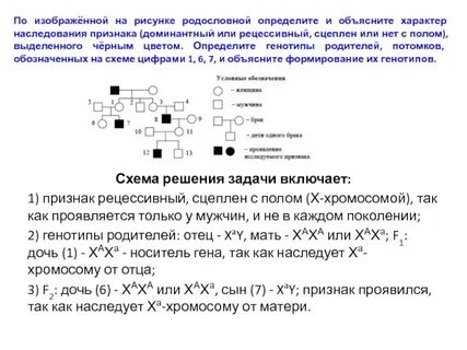 Талассемия наследуется как неполностью доминантный аутосомный признак