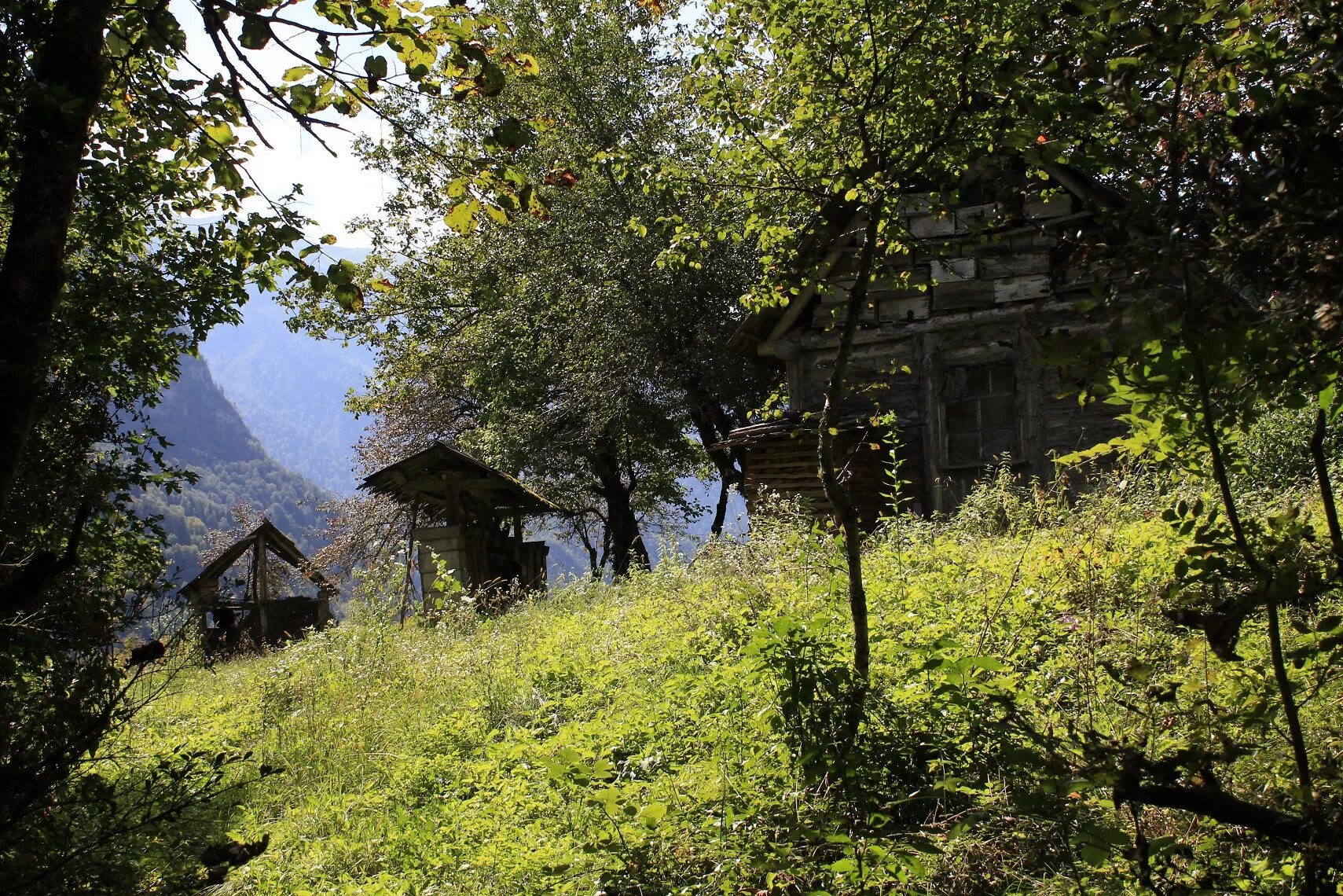 Псху Абхазия. Село Хуап Абхазия. Село Псху Абхазия. Высокогорное село в Абхазии. Дома в абхазии фото