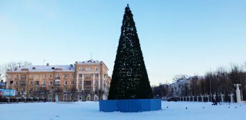 Елки череповец