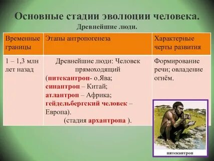 Конспект новейшая история как этап развития человечества