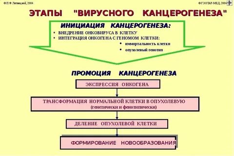 Вирусный канцерогенез