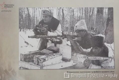 Партизан беларусь новости