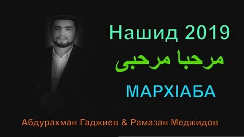 Читаем нашиды