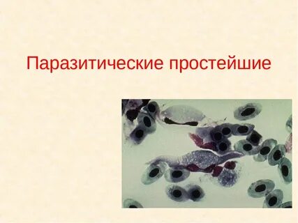 Паразитические формы класса