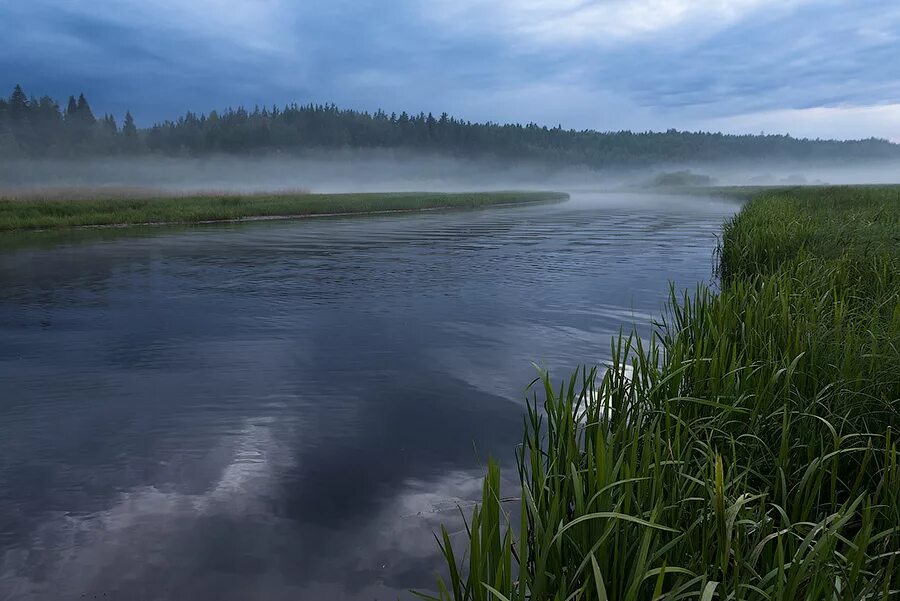 туман над рекой. река рассвет туман деревня. туман над озером. туман на реке. река туманная.