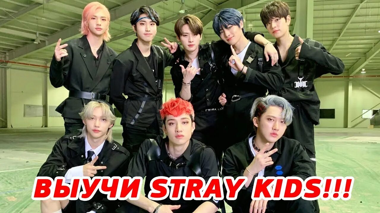 Выучить группу Stray Kids. Выучить участников Stray Kids. Stray Kids участники тест. Stray Kids учить.