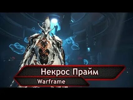 Warframe билды 2024