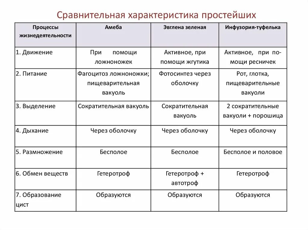 Основные признаки жизнедеятельности. Сравнительная характеристика простейших таблица 7 класс биология. Общая характеристика простейших 7 класс биология таблица. Биология общая характеристика простейших таблица. Таблица по биологии 7 класс общая характеристика простейших.