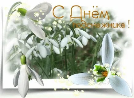 Поздравления с днем подснежника 19