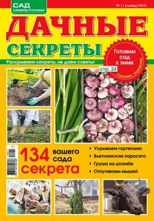 Сад огород дневник