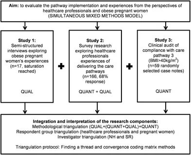 Case Study Methodology Triangulation - There was a problem providing.