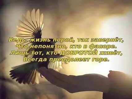 Будь человеком брат