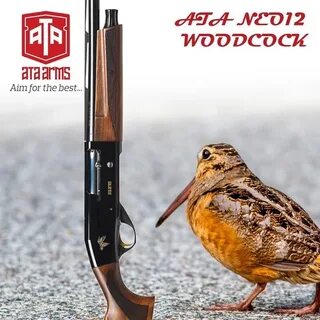 Ата нео 12 отзывы