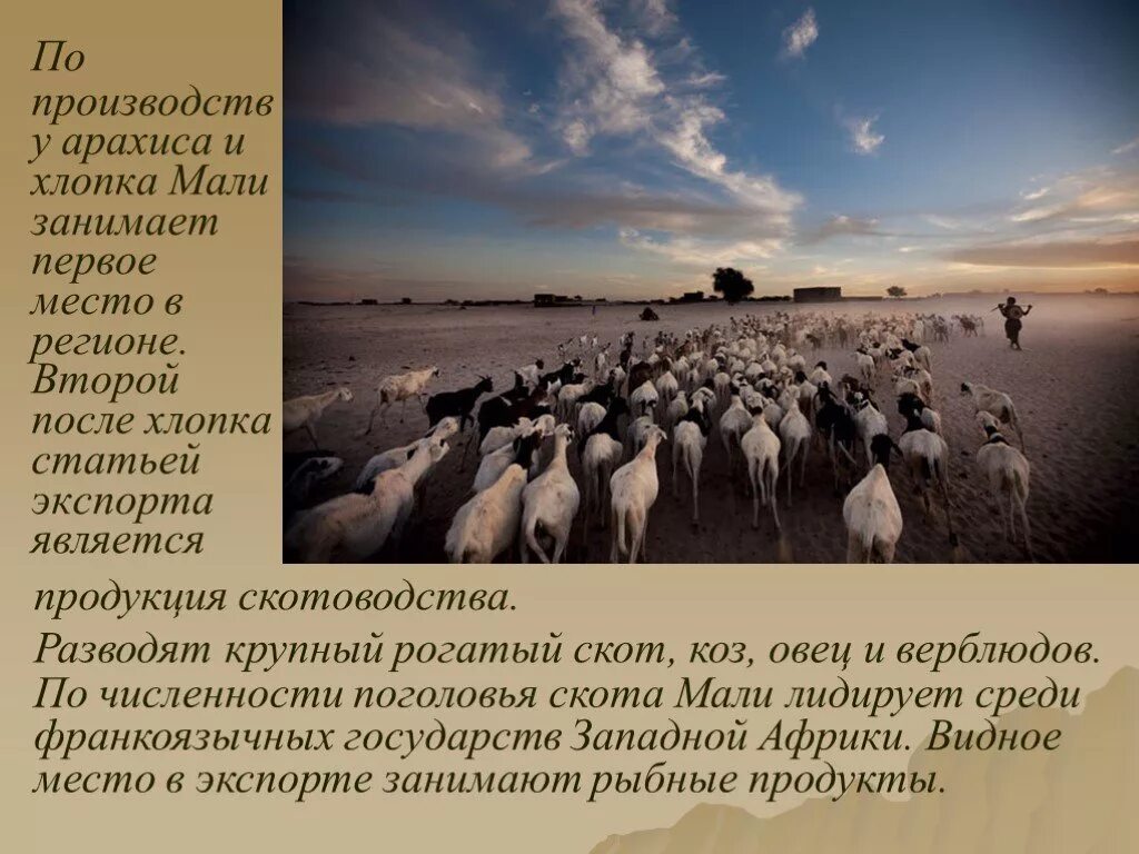 Презентация "Мали" (10 класс) по географии - скачать проект