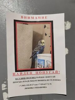 Отдана владельцу
