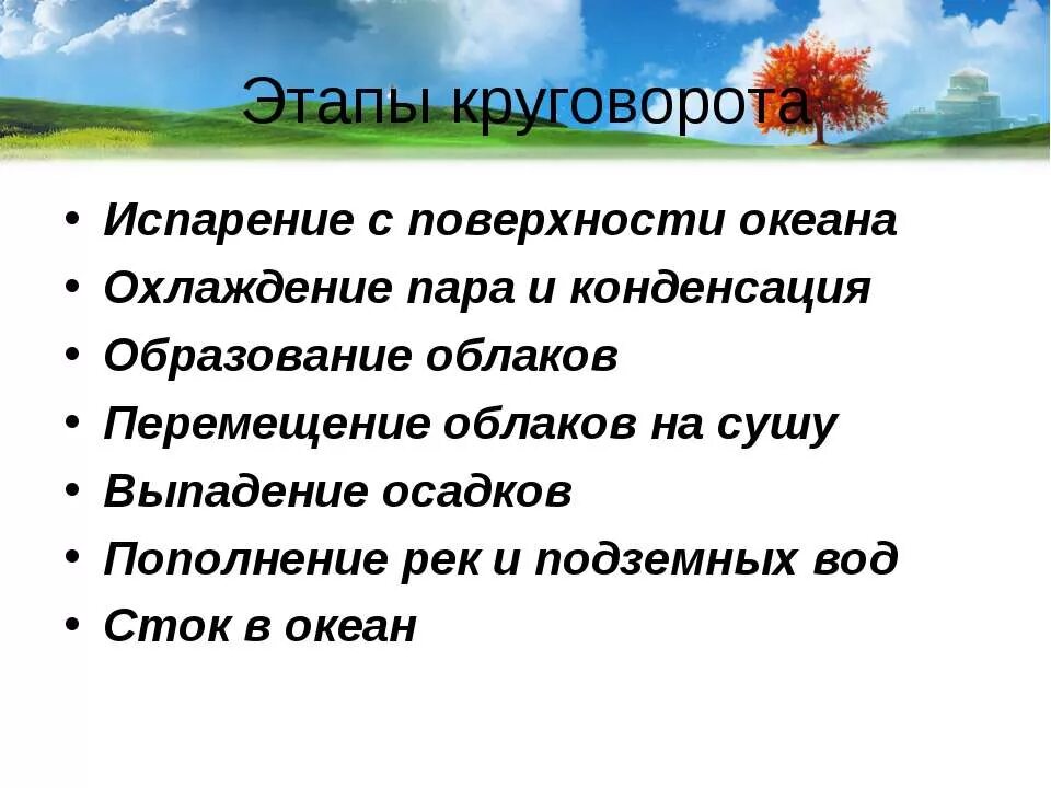 Роль дождя в жизни растений и животных. Этапы круговорота. Этапы круговоротной воды в природе. Этапы круговорота воды в природе. Этапы круговорота испарения.