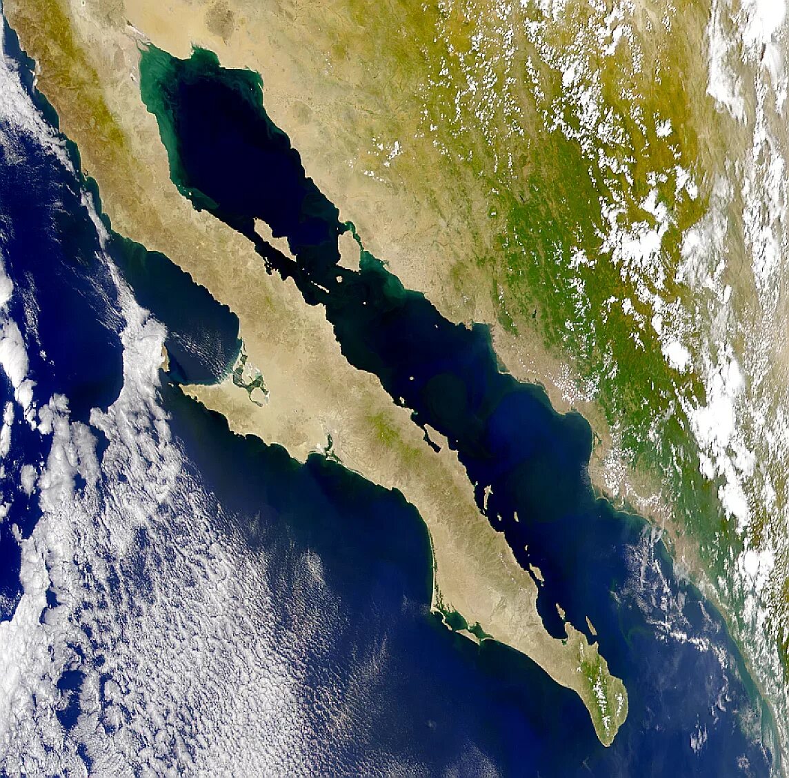Полуостров калифорния находится на. Калифорнийский залив и полуостров Калифорния. Калифорнийский залив Мексика. Мексика калифорнийский полуостров. Калифорнийский залив море Кортеса.
