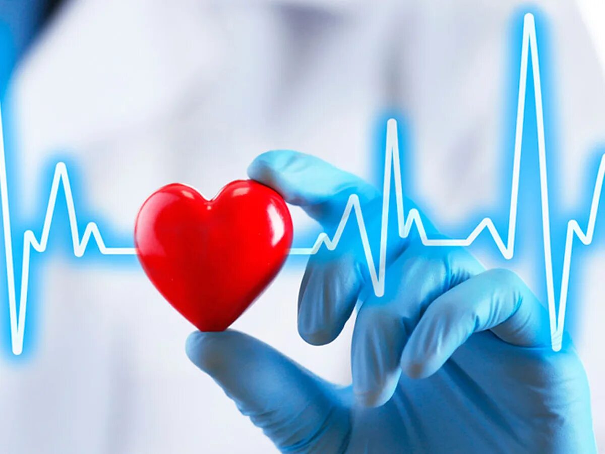 Центр здоровья сердца. Сердечко медицина. ЭКГ сердца. Кардиограмма сердца. Кардиолог ЭКГ.
