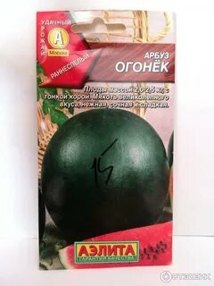 Огонек отзывы