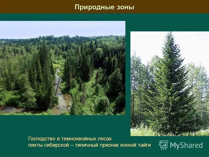 природные зоны урала и гор южной сибири. восточный саян гора высотная поясность. лесная промышленность южный пояс. положение в природных зонах северо восточной сибири. климат горд южной сибири.