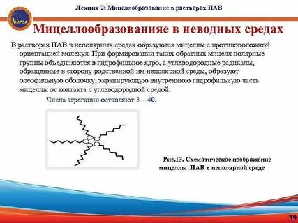 Раствор пав