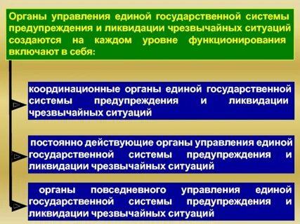 Создание системы чрезвычайных органов