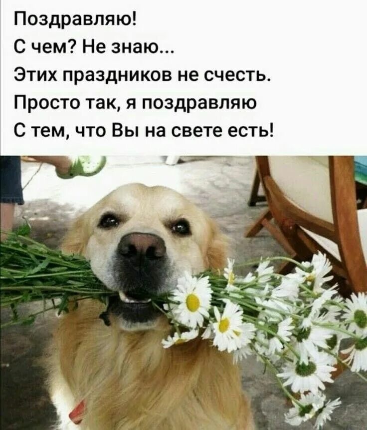 Знают все что есть на свете. Ты на свете есть. На свете есть люди которых ты просто любишь просто так. Доброе утро собаки. Есть люди которых просто любишь.