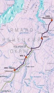 Уренгой пурпе
