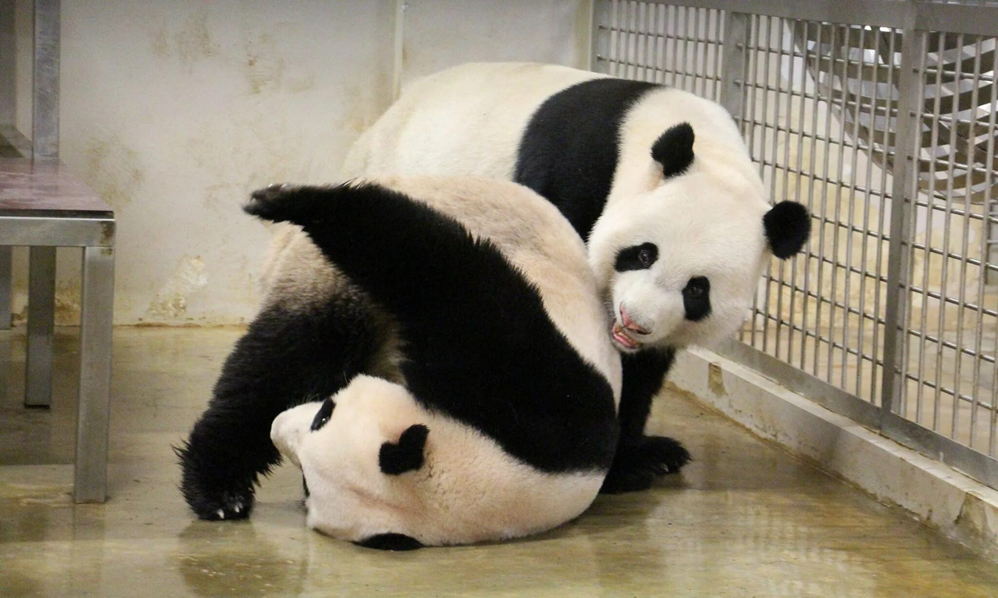Pandas having