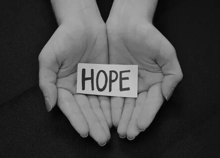 Hope on hope off