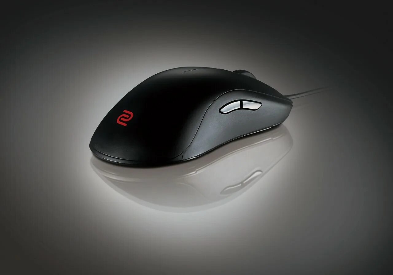 Zowie u2 купить. Мышь Zowie fk1-b, Largе. Zowie 144г. Zowie fk2 внутри. Mouse BENQ.