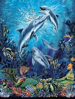 Dolphin anti