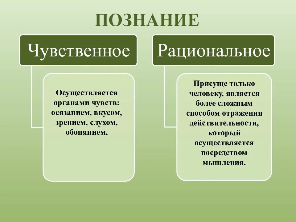 Чувственное и рациональное отражение. Чувственное познание это в обществознании. Чувственное и рациональное Познан е.