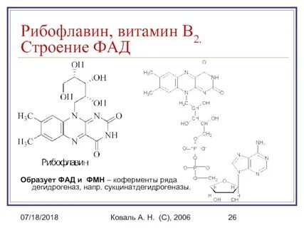 Рибофлавин рецепт
