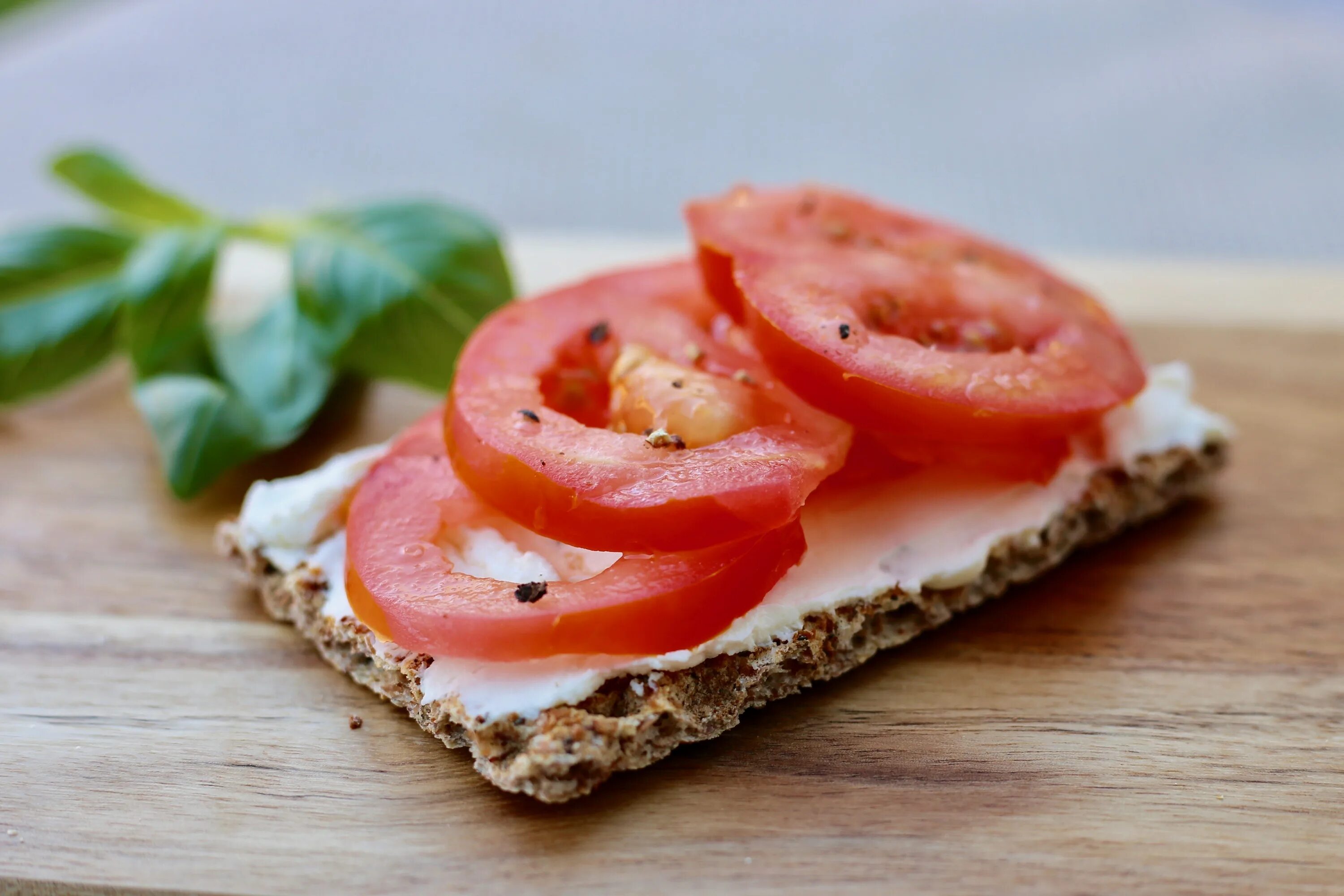 Бутерброд обычный. Маленькие сэндвичи. Бутерброд с авокадо и красной рыбой и творожным сыром. Сыр правильный бутерброд. Сыр правильный бутерброд.