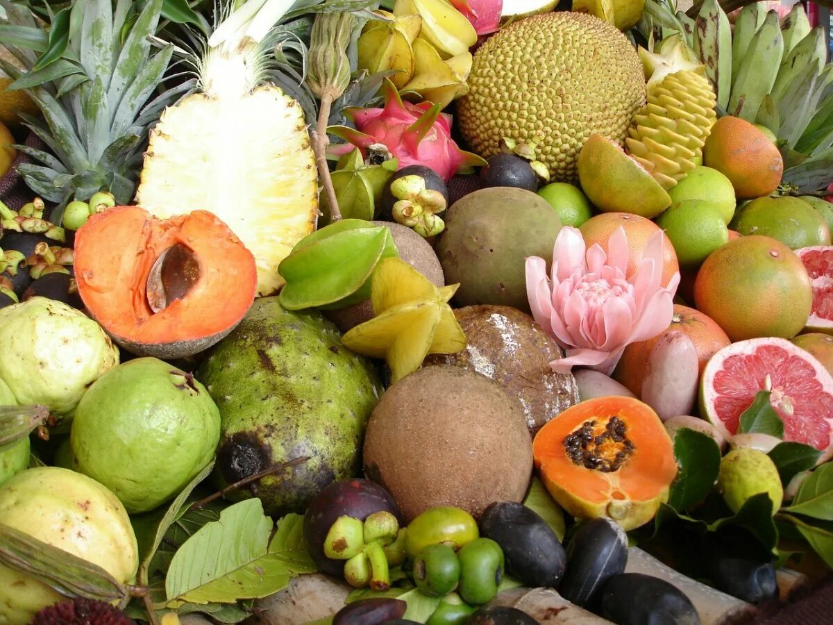 Продажа экзотических. Зеленый фрукт Тайланд. Карибиан фрукт. Манго на Хайнане. Тропические фрукты Австралии.