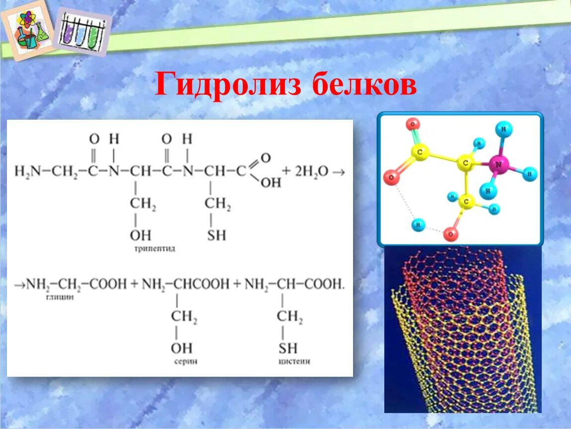 Гидролиз белков происходит. Гидролиз белков. Гидролиз белков схема. Гидролиз белков уравнение. Частичный и полный гидролиз белков.