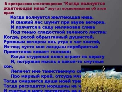 Анализ стихотворения желтеющая нива 7 класс