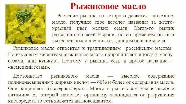 Растение Рыжик рыжиковое масло. Из чего изготавливают рыжиковое масло. Из чего делают рыжиковое масло. Рыжиковое масло из чего. Масло рыжикова применение