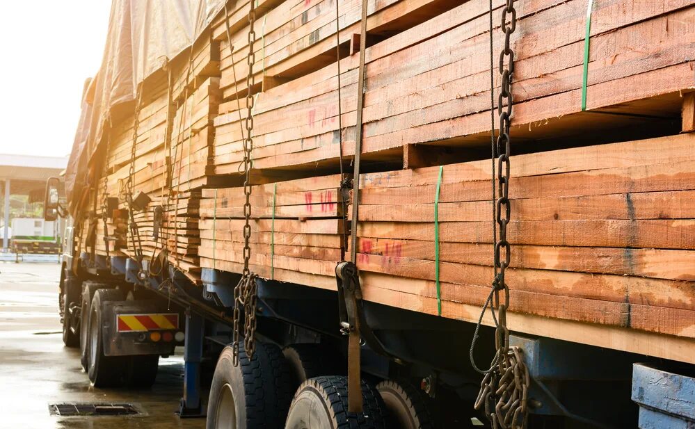 Export logs