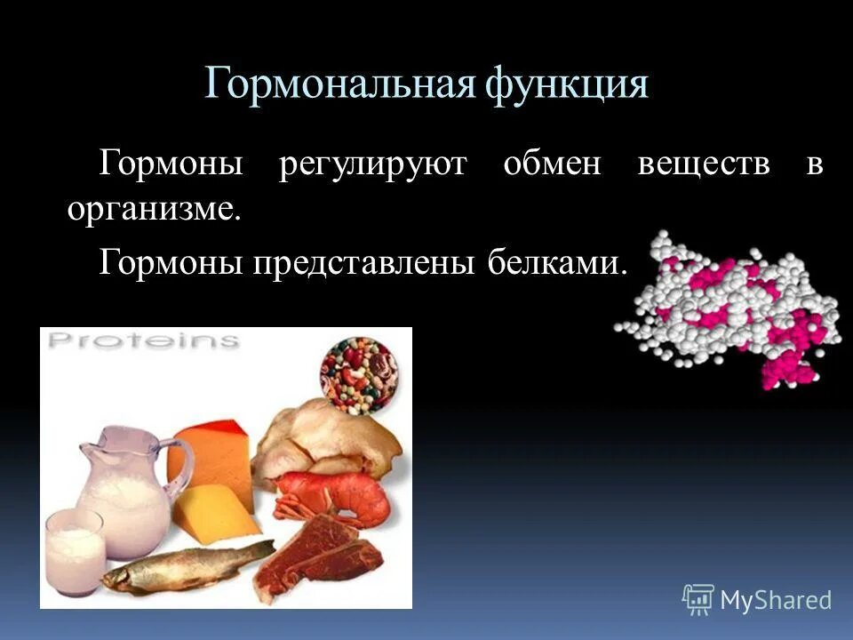 Какую функцию выполняют белки гормоны