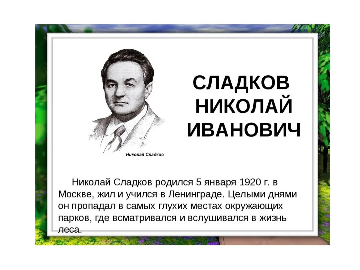 Как фамилия николаю писателю. Н.Сладков портрет писателя. Портрет н Сладкова. Портрет Николая Сладкова.